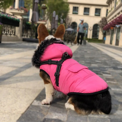 New Pet Cotton Clothes Reflective Warmth Dog Clothes Winter Wool Collar Plus Cotton Pet Clothing Cotton Vest Coat  Killer Products