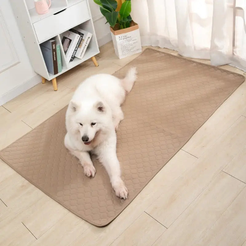 Water Absorbing Pet Urine Pad Skid Resistant Easy Drying Cat Litter Mat Training Pad Washable Reusable Pet Urine Pad  Killer Products