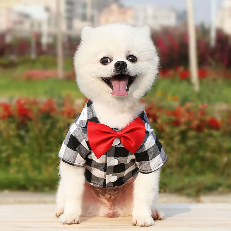 Spring Summer Autumn Dog Plaid/Checked Shirts Pets Cats Dog Clothes with Bow Tie  Killer Products