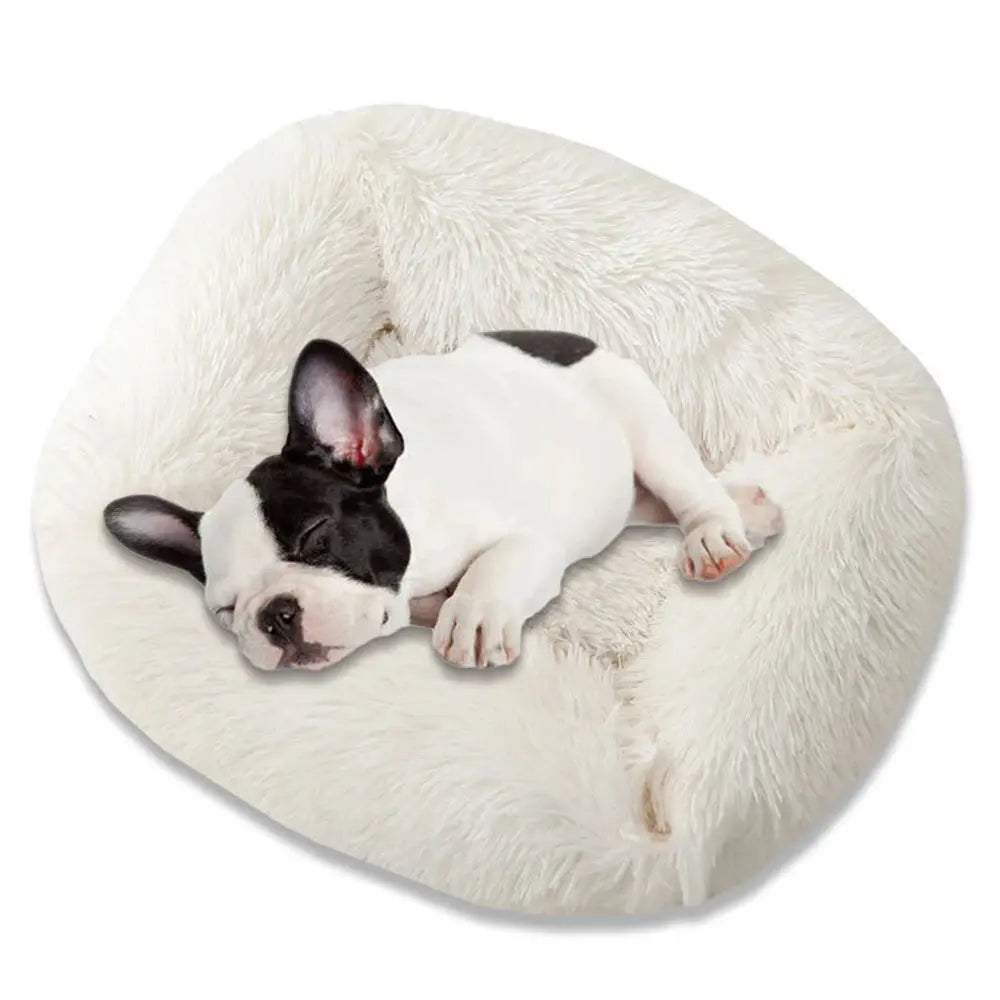 Square Dog Bed Long Plush Solid Color Pet Beds For Little Medium Large Pets Super Soft Winter Warm Sleeping Mats For Dogs Cats  Killer Products