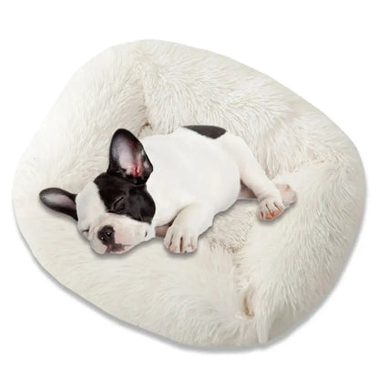 Square Dog Bed Long Plush Solid Color Pet Beds For Little Medium Large Pets Super Soft Winter Warm Sleeping Mats For Dogs Cats  Killer Products